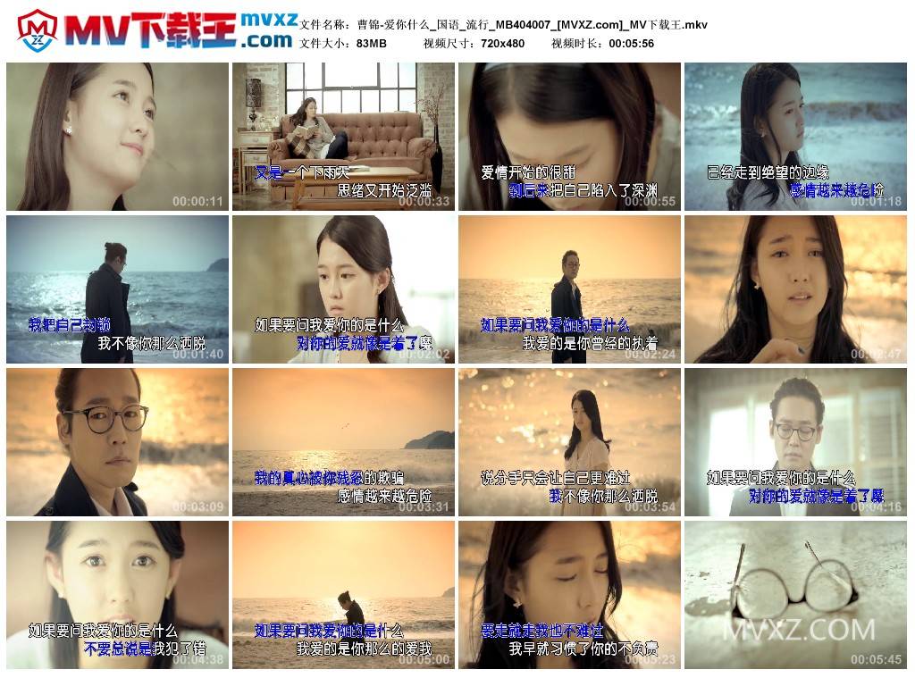 曹锦-爱你什么_国语_流行_MB404007